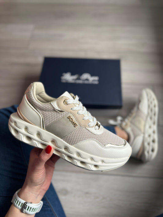 Lloyd & Pryce Boles Chrysus Trainer