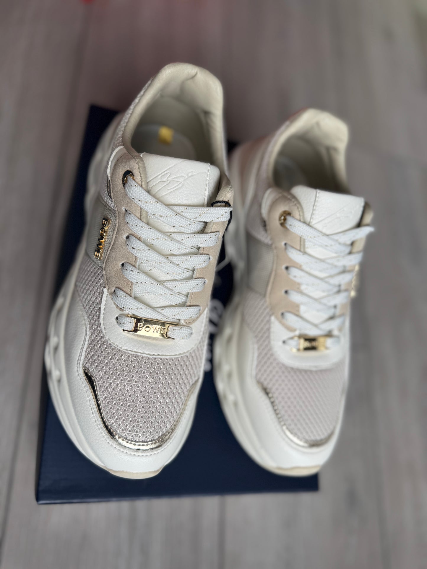 Lloyd & Pryce Boles Chrysus Trainer