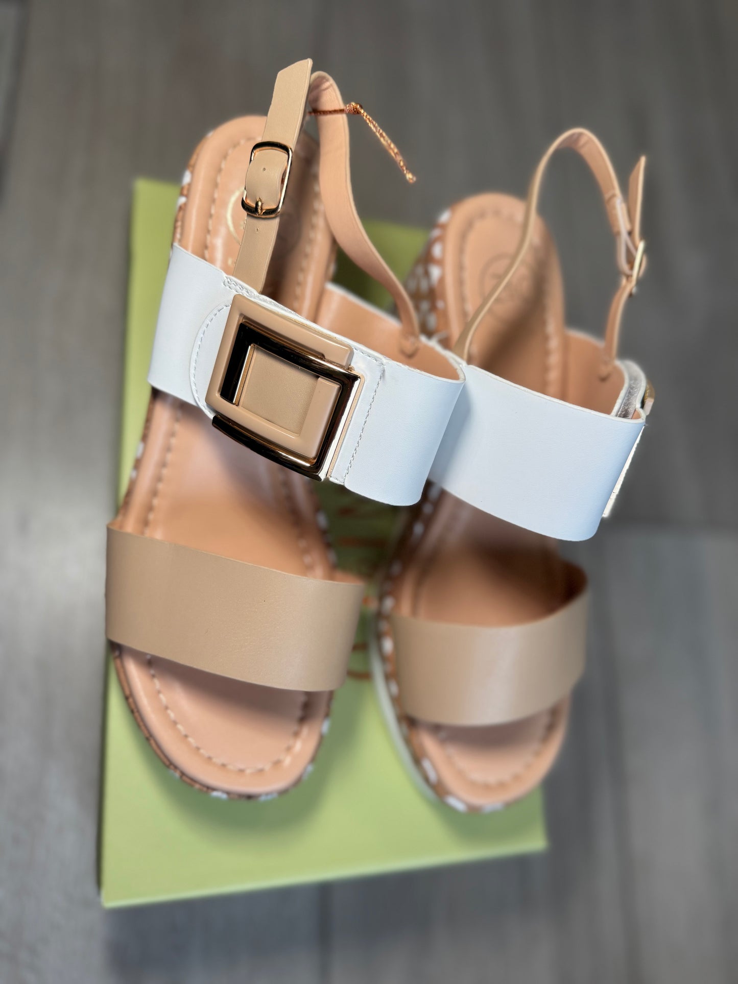Zanni & Co Dahama Chiffon Wedge Sandal