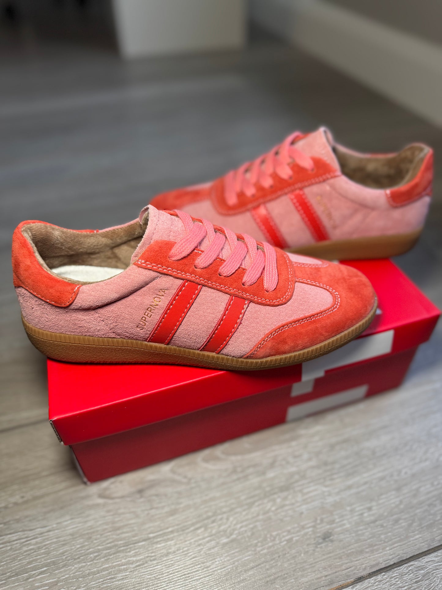 Drilleys Sixty Four Coral Reef Trainer
