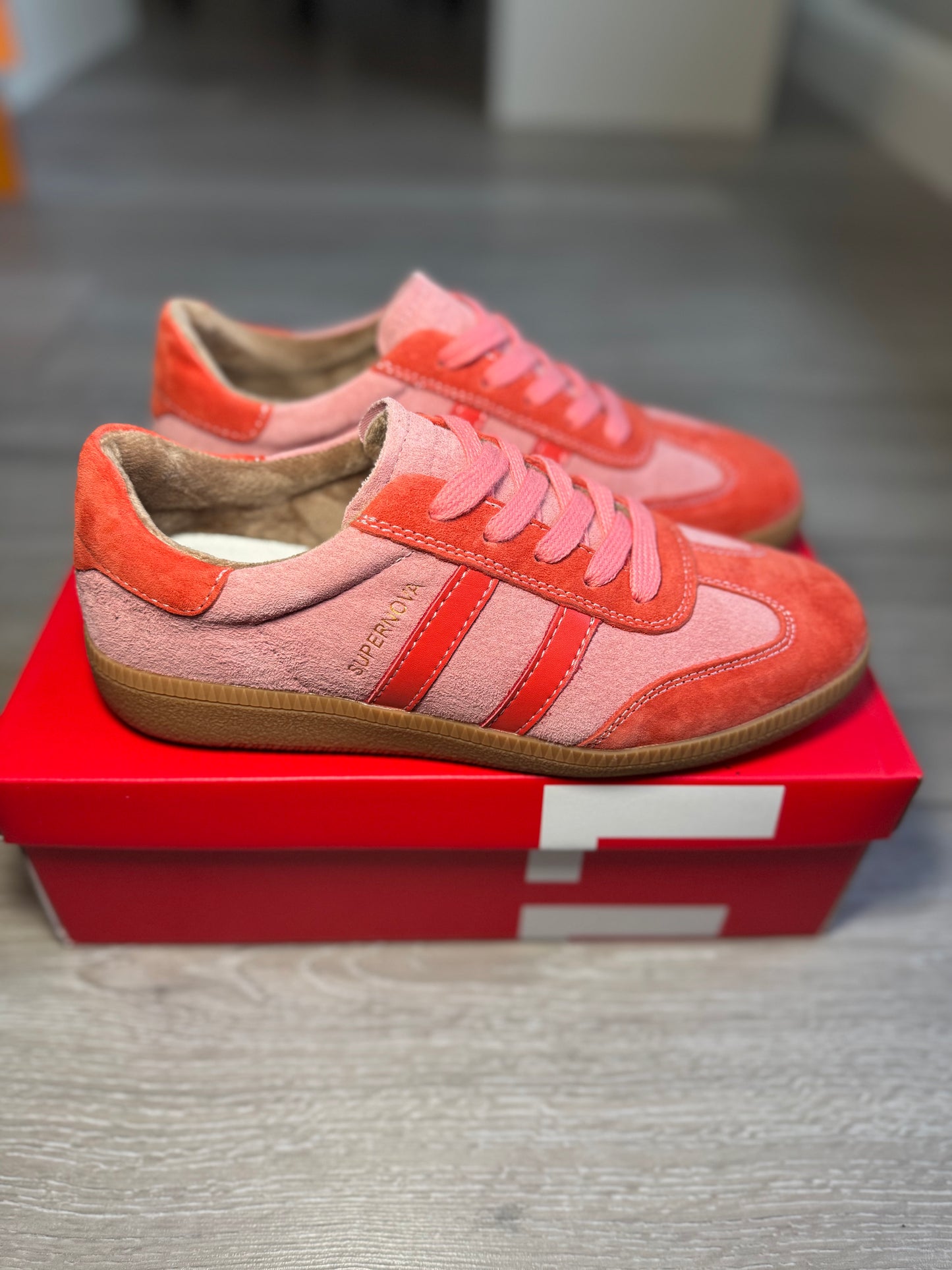 Drilleys Sixty Four Coral Reef Trainer